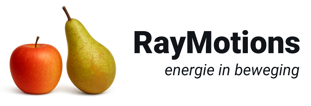 RayMotions